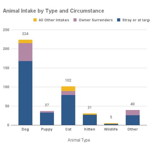 January 2024 - Animal Intake by type and circumstance