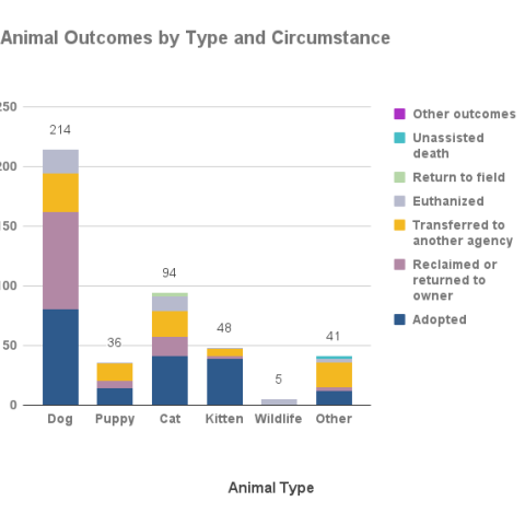 January 2024 - Animal outcomes by type and circumstance