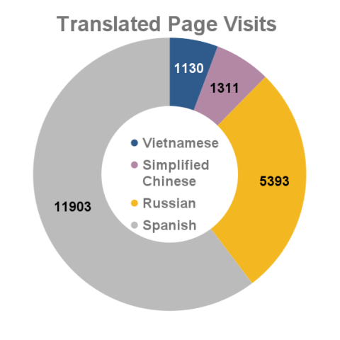 January 2024 - translated webpage visits