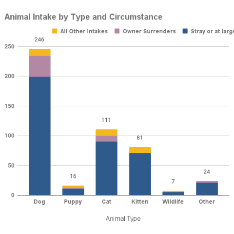 April 2024 - Intake by animal type and circumstances