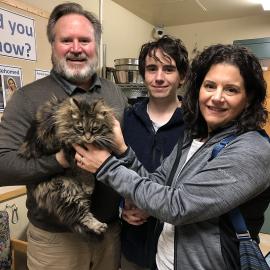 Reedy, a cat reunited with family