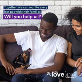 Petco Love Lost helps couple reunite with their lost dog