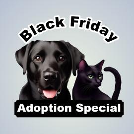 Black Friday adoption special graphic with black dog and cat