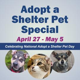 Adopt a Shelter Pet Special - April 27 to May 5 - Celebrating National Adopt a Shelter Pet Day