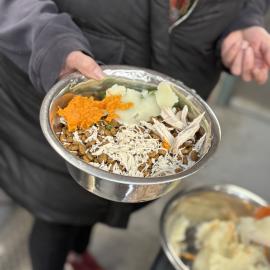 A bowl of food prepared for shelter pets by the Holiday Host volunteers