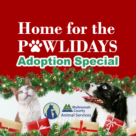 Home for the Pawlidays Adoption Special graphic - a festive display of red and green with a fir garland and lights, and a dog and cat looking up to it, with Multnomah County logo