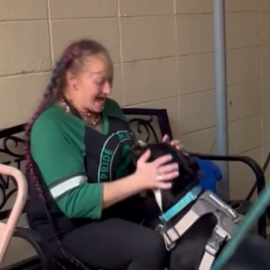 Bubba (Garbanzo) the dog reunited with his person
