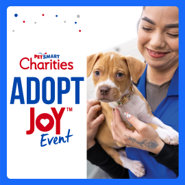 A promotional graphic for the PetSmart Charities "Adopt Joy Event." On the left, the PetSmart Charities logo sits above the words "ADOPT JOY Event" in bold blue and red text, with a heart cut out of the "O" in "JOY." Small red, blue, and grey confetti dots decorate the white background in the top left. On the right, a smiling person wearing a blue smock gently holds a small tan and white puppy with a floral collar. The entire image is framed by a thick blue border.