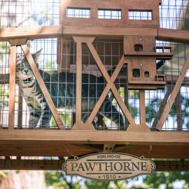Pawthorne Bridge