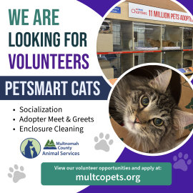 Recruitment graphic for Multnomah County Animal Services seeking PetSmart Cats volunteers for socialization, adopter meet & greets, and enclosure cleaning. Includes a close-up photo of a brown tabby cat and an adoption center room. Apply at multcopets.org