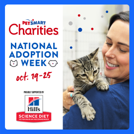 A promotional graphic for PetSmart Charities National Adoption Week, running Oct. 19-25, proudly supported by Hill's Science Diet. The right side of the image features a smiling woman in a blue top holding a small tabby kitten on her shoulder.