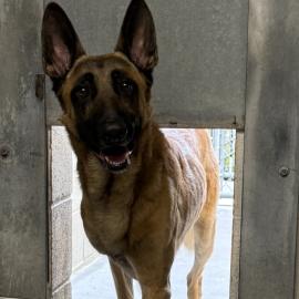 Photo for 108143 [311964]