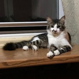 Photo for 142426 [Ronan]