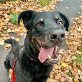 Photo for 147921 [Cinnabuns]