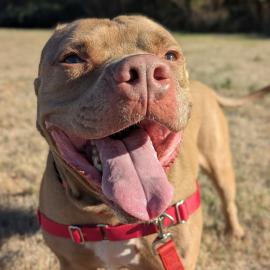 Photo for 148694 [Sleepy]