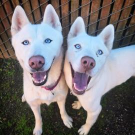 Photo for 148896 [Pinky]