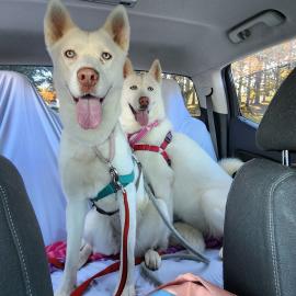 Photo for 148898 [The Brain]