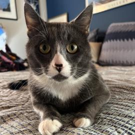 Photo for 148910 [Valerius]