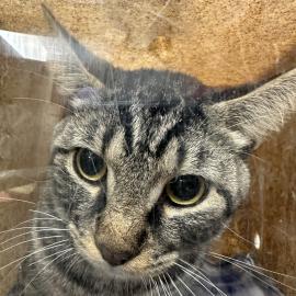 Photo for 149525 [369753]