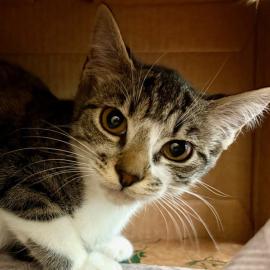 Photo for 149569 [369785]