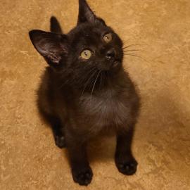 Photo for 149615 [369837]