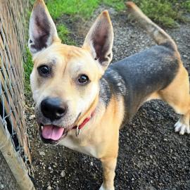 Photo for 149866 [Music]