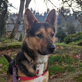 Photo for 149924 [370466]