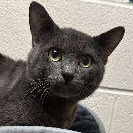 Photo for 150252 [370783]