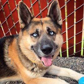 Photo for 150401 [371099]