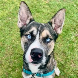 Photo for 152010 [374430]