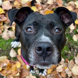 Photo for 152272 [Baby]