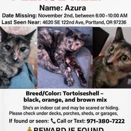 Photo for 152354 [Azura ]