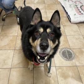 Photo for 152358 [Windston]