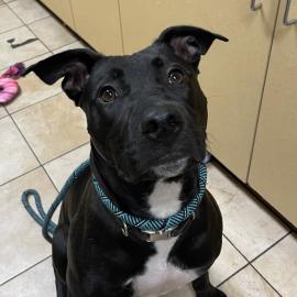 Photo for 152416 [Beauty]