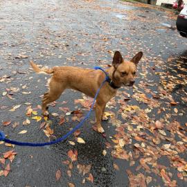 Photo for 152489 [fr152489]