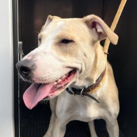 Photo for 152527 [Mountain High]