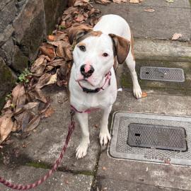 Photo for 152539 [Private Dancer]