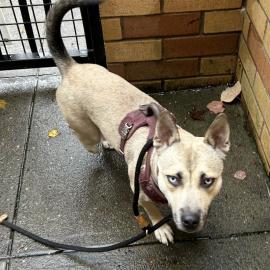 Photo for 152558 [375554]