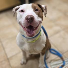 Photo for 152568 [375578]