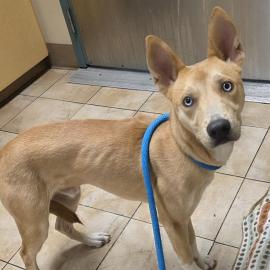 Photo for 152589 [375590]