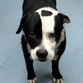 Photo for 152593 [375591]