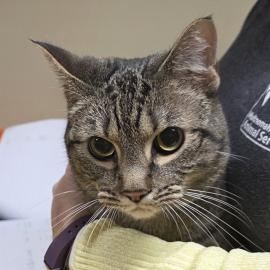 Photo for 152597 [Celeste]