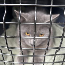 Photo for 152604 [375601]