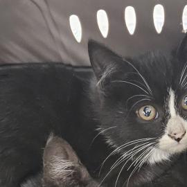 Photo for 152607 [375602]