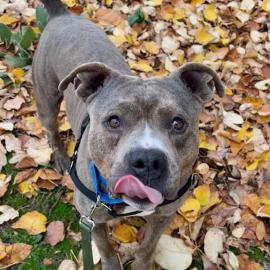 Photo for 152694 [375702]