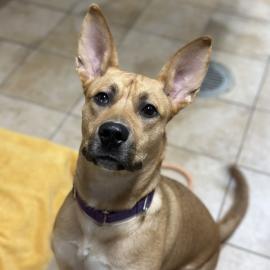 Photo for 152831 [375846]