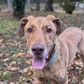 Photo for 152844 [Cinco]