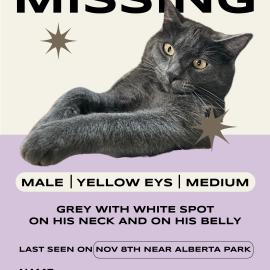 Photo for 152849 [Marble]