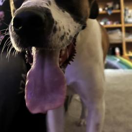 Photo for 152882 [Unknown]