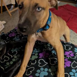 Photo for 152886 [n/a]